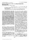 Research paper thumbnail of Cloning and expression of Ole e I, the major allergen from olive tree pollen. Polymorphism analysis and tissue specificity