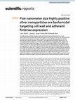 Research paper thumbnail of Five nanometer size highly positive silver nanoparticles are bactericidal targeting cell wall and adherent fimbriae expression