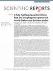 Research paper thumbnail of A fully feathered enantiornithine foot and wing fragment preserved in mid-Cretaceous Burmese amber