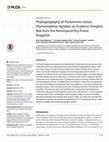 Research paper thumbnail of Phylogeography of Partamona rustica (Hymenoptera, Apidae), an Endemic Stingless Bee from the Neotropical Dry Forest Diagonal