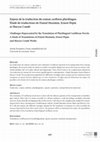 Research paper thumbnail of Enjeux de la traduction du roman caribéen plurilingue : étude de traductions de Daniel Maximin, Ernest Pépin et Maryse Condé