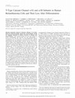 Research paper thumbnail of T-Type Calcium Channel α1G and α1H Subunits in Human Retinoblastoma Cells and Their Loss After Differentiation