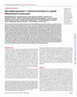 Research paper thumbnail of Microglial pannexin-1 channel activation is a spinal determinant of joint pain