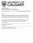 Research paper thumbnail of Mercury-induced toxicity of rat cortical neurons is mediated through N-methyl-D-Aspartate receptors