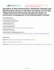 Research paper thumbnail of Disruption of Neurotransmission, Membrane Potential, and Mitochondrial Calcium in the Brain and Spinal Cord of Nile Tilapia Elicited by Microcystis Aeruginosa Extract: An Uncommon Consequence of the Eutrophication Process