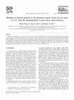 Research paper thumbnail of Binding of nuclear proteins to the promoter region of the laccase gene Cs-lcs1 from the basidiomycete Ceriporiopsis subvermispora