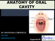 Research paper thumbnail of ANATOMY OF ORAL CAVITY