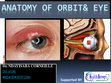 Research paper thumbnail of ANATOMY OF ORBIT& EYE