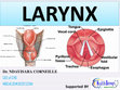 Research paper thumbnail of ANATOMY OF THE LARYNX