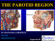 Research paper thumbnail of Parotid Region