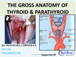 Research paper thumbnail of THYROID and PARATHYROID GLAND