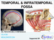 Research paper thumbnail of TEMPORAL & INFRATEMPORAL FOSSA