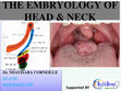 Research paper thumbnail of THE EMBRYOLOGY OF HEAD and NECK