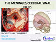 Research paper thumbnail of THE MENINGES,CEREBRAL SINAL FLUID