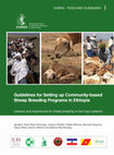 Research paper thumbnail of Guidelines for setting up community-based sheep breeding programs in Ethiopia: Lessons and experiences for sheep breeding in low-input systems