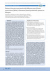 Research paper thumbnail of Dietary diversity associated with different enset [Ensete ventricosum (Welw.) Cheesman]-based production systems in Ethiopia