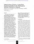 Research paper thumbnail of Inflammation Causes a Long-Term Hyperexcitability in the Nociceptive Sensory Neurons ofAplysia