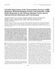 Research paper thumbnail of Variable Expression of the Transcription Factors cAMP Response Element-Binding Protein and Inducible cAMP Early Repressor in the Normal Adrenal Cortex and in Adrenocortical Adenomas and Carcinomas