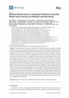 Research paper thumbnail of Marine Biodiversity in Temperate Western Australia: Multi-Taxon Surveys of Minden and Roe Reefs