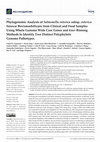 Research paper thumbnail of Phylogenomic Analysis of Salmonella enterica subsp. enterica Serovar Bovismorbificans from Clinical and Food Samples Using Whole Genome Wide Core Genes and kmer Binning Methods to Identify Two Distinct Polyphyletic Genome Pathotypes