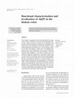 Research paper thumbnail of Functional characterization and localization of AQP3 in the human colon