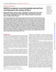 Research paper thumbnail of KIR2DS2 recognizes conserved peptides derived from viral helicases in the context of HLA-C