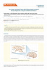 Research paper thumbnail of The Proper Function of Pineal and Thymus Glands to ControlForeign Organisms Acting on Human Brain Subjects