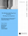 Research paper thumbnail of The Multi-Site Adult Drug Court Evaluation: The Drug Court Experience