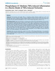 Research paper thumbnail of Phospholipase D1 Mediates TNFα-Induced Inflammation in a Murine Model of TNFα-Induced Peritonitis