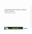 Research paper thumbnail of Concise Review: Stem Cell Antigen-1: Expression, Function, and Enigma