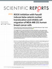 Research paper thumbnail of ROCK inhibition with Fasudil induces beta-catenin nuclear translocation and inhibits cell migration of MDA-MB 231 human breast cancer cells