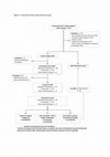 Research paper thumbnail of Clinical outcomes and response of patients applying topical therapy for pyoderma gangrenosum: A prospective cohort study