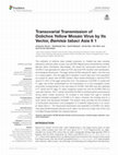 Research paper thumbnail of Transovarial Transmission of Dolichos Yellow Mosaic Virus by Its Vector, Bemisia tabaci Asia II 1