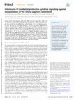 Research paper thumbnail of Interleukin-17-mediated protective cytokine signaling against degeneration of the retinal pigment epithelium