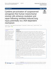 Research paper thumbnail of Cytokine pre-activation of cryopreserved xenogeneic-free human mesenchymal stromal cells enhances resolution and repair following ventilator-induced lung injury potentially via a KGF-dependent mechanism