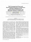 Research paper thumbnail of The Frontoparietal Fossa and Dorsotemporal Fenestra of Archosaurs and Their Significance for Interpretations of Vascular and Muscular Anatomy in Dinosaurs