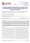 Research paper thumbnail of Changes in Synaptic Terminal Structure in Adolescent Rat During Pregnancy; The Action Potential Propagation and Synaptic Transmission