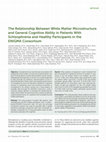 Research paper thumbnail of The Relationship Between White Matter Microstructure and General Cognitive Ability in Patients With Schizophrenia and Healthy Participants in the ENIGMA Consortium