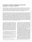 Research paper thumbnail of Localization and Role of Manganese Superoxide Dismutase in a Marine Diatom