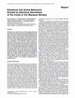 Research paper thumbnail of Emotional and Social Behaviors Elicited by Electrical Stimulation of the Insula in the Macaque Monkey