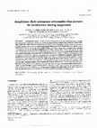 Research paper thumbnail of Amphibian Bufo arenarum vitronectin-like protein: its localization during oogenesis