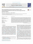 Research paper thumbnail of Micromorphological characterization of polymer-oxide nanocomposite thin films by atomic force microscopy and fractal geometry analysis