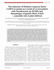 Research paper thumbnail of The induction of Ethylene response factor 3 (<i>ERF3</i>) in potato as a result of co-inoculation with<i>Pseudomonas</i>sp. R41805 and<i>Rhizophagus irregularis</i>MUCL 41833 – a possible role in plant defense