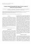 Research paper thumbnail of Geodetic, geological and geophysical evidence of active tectonics in south-western Sicily and offshore