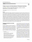 Research paper thumbnail of Collagen transport and related pathways in Osteogenesis Imperfecta