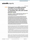 Research paper thumbnail of Osteogenic transdifferentiation of primary human fibroblasts to osteoblast-like cells with human platelet lysate