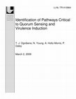 Research paper thumbnail of Identification of Pathways Critical to Quorum Sensing and Virulence Induction