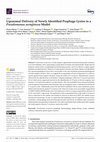 Research paper thumbnail of Liposomal Delivery of Newly Identified Prophage Lysins in a Pseudomonas aeruginosa Model