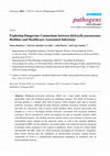 Research paper thumbnail of Article Exploring Dangerous Connections between Klebsiella pneumoniae