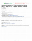 Research paper thumbnail of Expression pattern of drug-resistance genes ERG11 and TAC1 in Candida albicans Clinical isolates